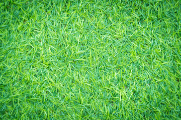 Green artificial grass texture