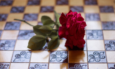 a red rose on a chessboard, symbolizing the game of love