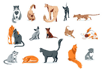 Cute cats pet animals set. Adorable domestic animals of different breeds. Siamese, oriental, bengal, sphynx cats cartoon vector illustration isolated on white background