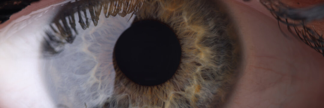 Human eye with cornea and pupil closeup