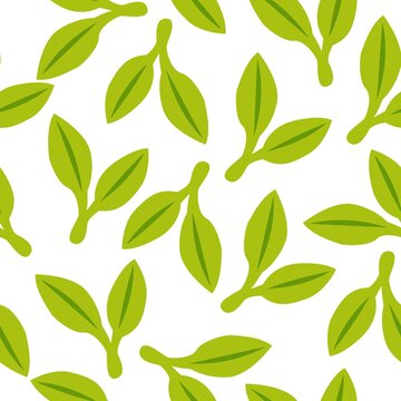 Seamless pattern with green doudle leaves. White background. Autumn, spring or summer. Nature and ecology. For packaging design and wrapping paper. For wallpaper, scrapbooking, textile and post cards