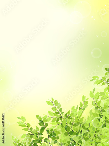 新緑のフレーム 背景素材 縦長 Wall Mural Wallpaper Murals Chie