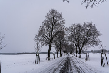 partly snow-covered country road in a winter landscape in Germany and leafless trees along the way