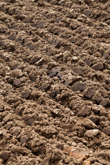 plowed land, close-up