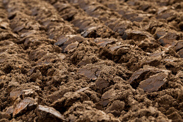 plowed land, close-up