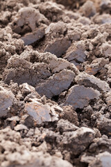 plowed land, close-up