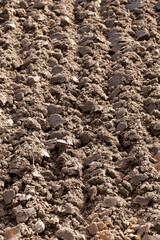 plowed land, close-up