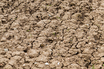 plowed agricultural field