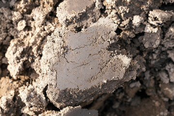 plowed agricultural field