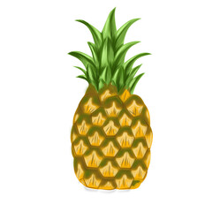 On a white isolated background, a yellow, ripe and delicious exotic tropical fruit-pineapple with green leaves 