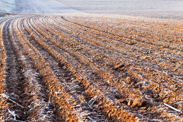 plowed land, frost