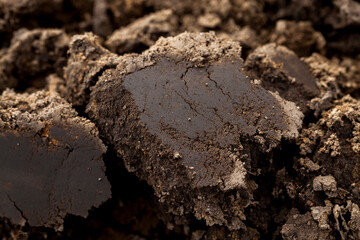 plowed land, close-up