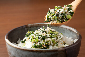 野沢菜しらすのごはん