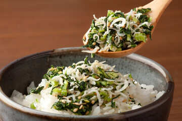 野沢菜しらすのごはん