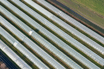 Folien Treibhaus aus der Luft, Ackerbau zur Anzucht von Gemüse, Landwirtschaft als Luftbild