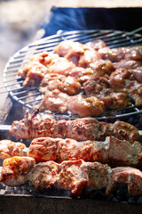 Grilled kebab cooking on metal skewer. Roasted meat cooked at barbecue. BBQ fresh beef meat chop...