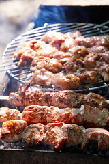 Grilled kebab cooking on metal skewer. Roasted meat cooked at barbecue. BBQ fresh beef meat chop slices. Traditional eastern dish, shish kebab. Grill on charcoal and flame, picnic, street food.
