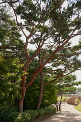 South Korea, attractions, architecture and parks of Suwon City