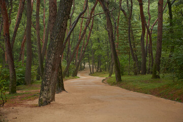 South Korea, attractions, architecture and parks of Suwon City