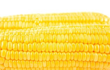 sweet corn on white background