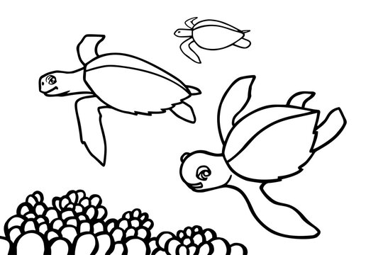 Turtles and algae in the ocean. Can be used for coloring book for kids. Vector illustration.