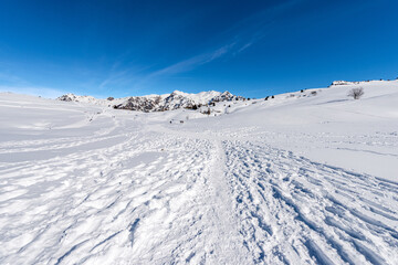 Obraz premium Altopiano della Lessinia (Lessinia Plateau), and mountain range of the Monte Carega (Mountain), called the small Dolomites in winter with snow, Malga San Giorgio, Verona, Veneto, Italy, Europe.