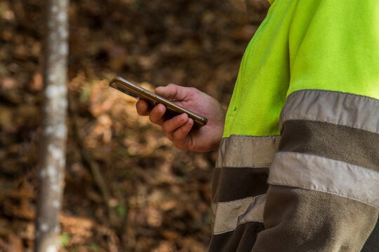forest worker using smartphone in the forest