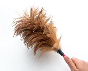 Hand was holding a feather duster on a white background, A feather duster is an implement used for...