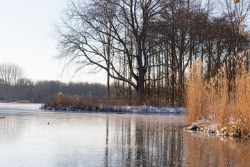 Frozen lake on a sunny winter day at the park