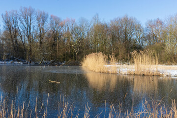 Frozen lake on a sunny winter day at the park