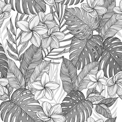 Seamless monochrome background of flowers frangipani, plumeria tropical flower,