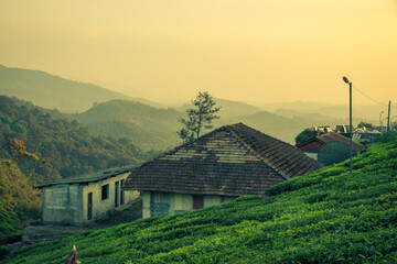 Houses of Mountain living people in Western Ghats, India
