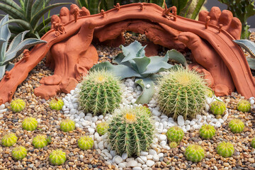 CACTUS GARDEN
