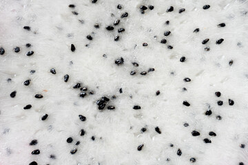 close up inside seed of Dragon fruit, texture wallpaper, background.