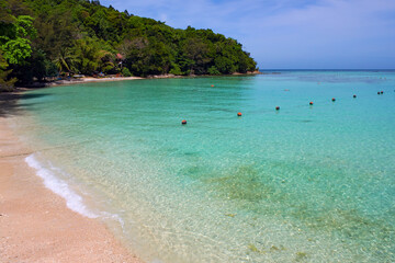 Transparent turquoise sea water in the foreground, tropical vegetation jungle in the background