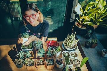 woman planting succulent at little  home garden