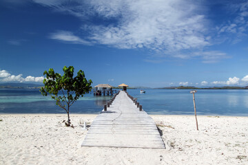 Wooden pier and lonely tree on white beach