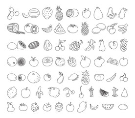 fruit element doodle set. fruit vector doodle illustration. Vegetarian healthy food, sketch of food for menu illustration