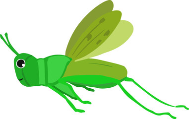 飛ぶかわいいトノサマバッタ