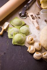 Dumplings, filled with meat, ravioli, pelmeni. Dumplings with filling. overhead, horizontal