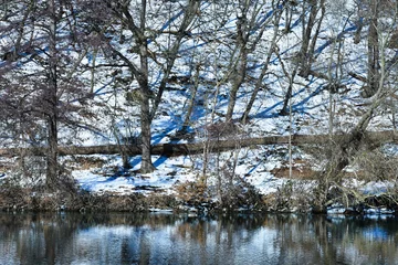 Foto auf Leinwand Beauty seasonal winter landscape  © medwedja