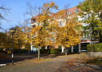 Naklejka premium Herbst im Stadtteil Schmargendorf, Berlin