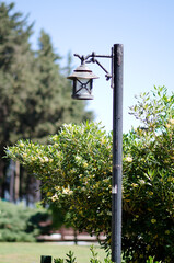 A large vintage city lantern. A lone lantern. Street lighting