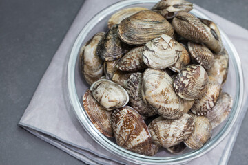 Fresh raw Surf clam on a black background.