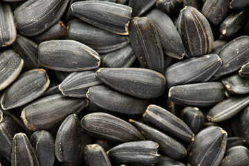 sunflower seeds background, closeup of roasted seeds