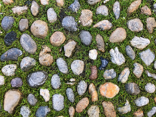 Traditional Italian medieval cobblestone pavè pattern with green grass