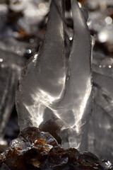 Eisbildung um einen Ast