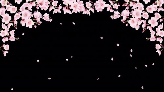 満開の桜並木と桜吹雪。桜のアーチ（背景色無し、アルファチャンネル）