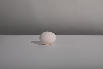 White single egg. Chicken egg with soft shadows on white background. Template for Easter holiday.