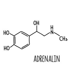 Molecular structural chemical formula of adrenalin. Vector hand drawn illustration.